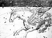 Pegasus constellation,1603