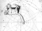 Ursa Minor constellation,1603