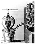 Hales' pneumatic trough for gas collecting,1720s
