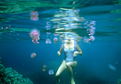 Jellyfish (Pelagia noctiluca) around swimmer