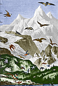 Flight height of birds,historical art