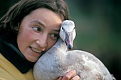 Carer hugging a young snow goose