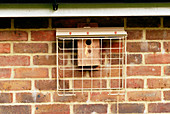 Protected nest box