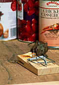 Mouse with mousetrap