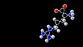 Arginine molecule