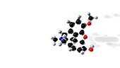 Codeine molecule