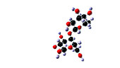 Lactose molecule