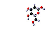 Mannose molecule