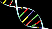 DNA spins