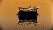 Water droplet falling into liquid