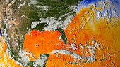 Hurricane Katrina Sea Surface Temp