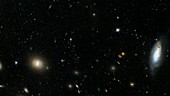 Coma Cluster Abell 1656