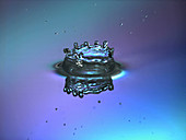 Water drop falls into colourful water