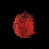 Red balloon bursting - powder filled