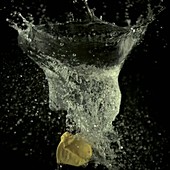 Yellow balloon bursting - water filled