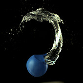 Blue water balloon bursting