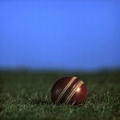 Cricket ball striking ground
