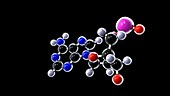 Adenine DNA Nucleotide