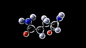 Glutamine molecule