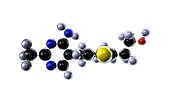 Thiamine, molecular model