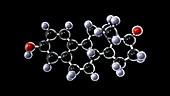 Estrone molecule oestrone