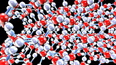 Water phase changes, molecular model.