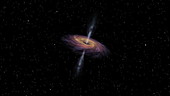 Black hole and wormhole