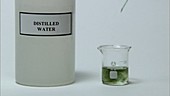 Universal indicator in distilled water