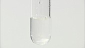 Manganese (II) hydroxide precipitate