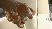 Close up of male doctor washing hands