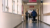 Orderly wheeling patient down corridor