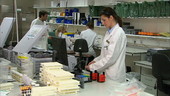 Pathologists at work in the lab