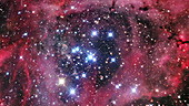 Rosette nebula NGC 2244