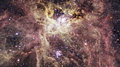 Tarantula nebula, optical image