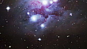 Reflection nebula NGC 1977