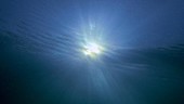 Sun from underwater