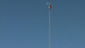 Flux mast scientist, Antarctica