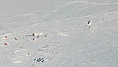 Aerial of ice core drill tent, Antarctica
