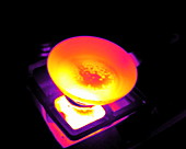 Frying an egg, thermogram