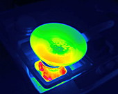 Frying an egg, thermogram