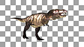 Tyrannosaurus rex dinosaur