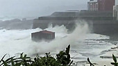 Super Typhoon Krosa, Taiwan