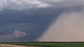 Dust from thunderstorm outflow