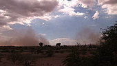 Dust from thunderstorm outflow