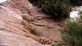 Flooding caused by the Arizona monsoon