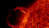Sun, Solar Dynamics Orbiter first light