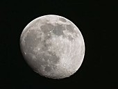 Waxing gibbous moon