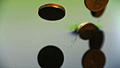 Coins falling into water