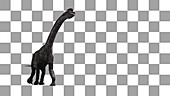 Brachiosaurus dinosaur