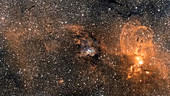 NGC 3603 starburst region